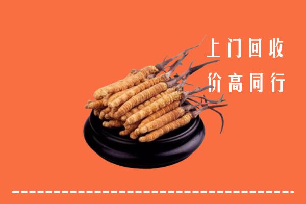 高价求购：咸阳市武功回收散虫草