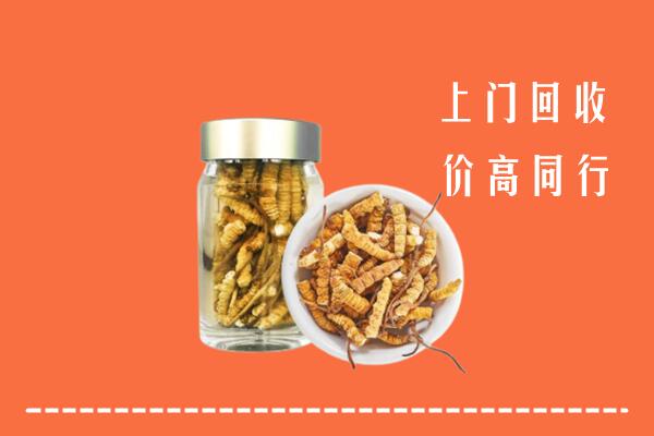 咸阳市武功回收冬虫夏草