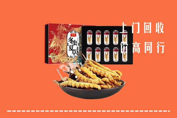 咸阳市武功回收虫草